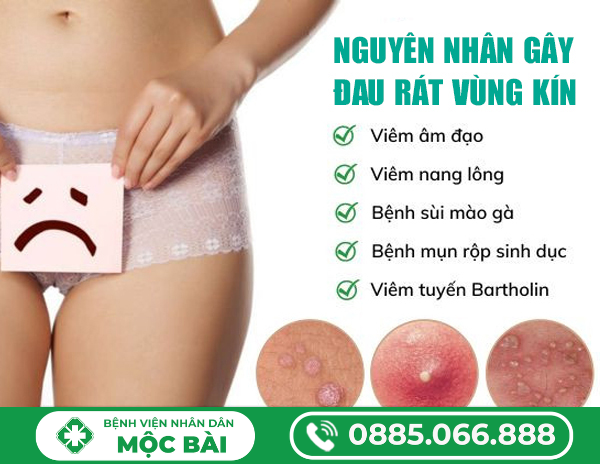 NGUYÊN NHÂN ĐAU RÁT VÙNG KÍN