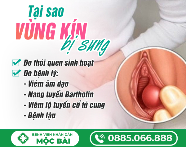 TẠI SAO VÙNG KÍN BỊ SƯNG?