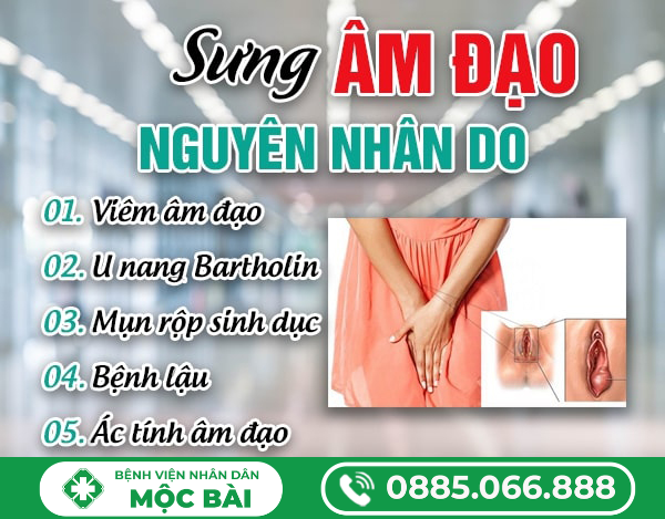 BỊ SƯNG ÂM ĐẠO LÀ DO ĐÂU?