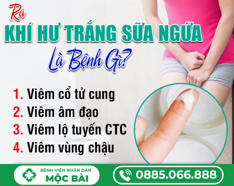 KHÍ HƯ MÀU TRẮNG SỮA VÀ NGỨA
