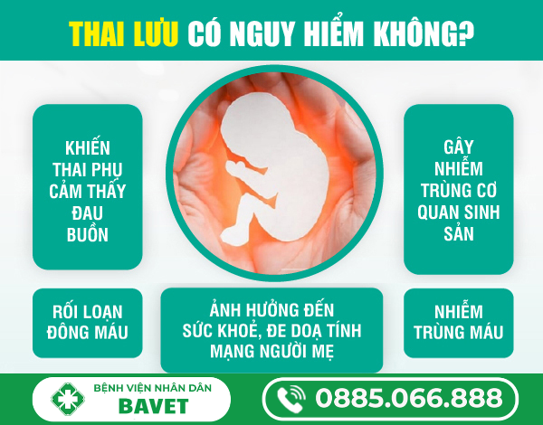 BỊ THAI LƯU CÓ ẢNH HƯỞNG GÌ KHÔNG?
