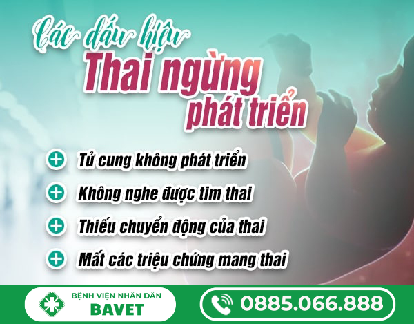 THAI NGỪNG PHÁT TRIỂN: NHỮNG ĐIỀU CẦN BIẾT ĐỂ XỬ LÝ KỊP THỜI