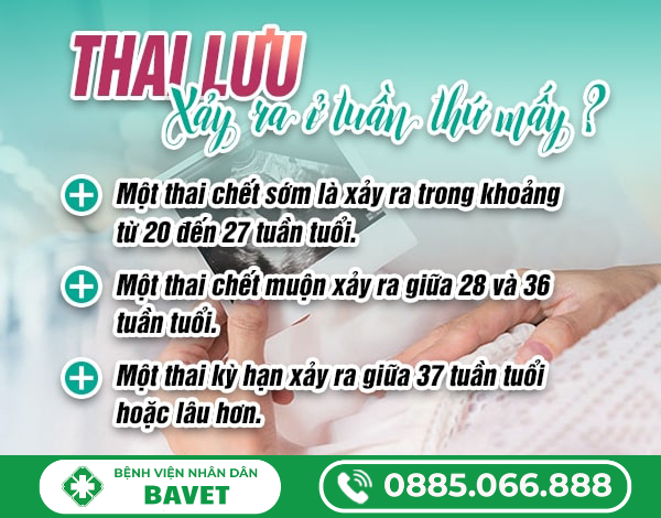 THAI LƯU THƯỜNG XẢY RA Ở TUẦN THỨ MẤY?