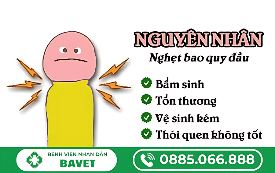 NGHẸT BAO QUY ĐẦU LÀ GÌ?