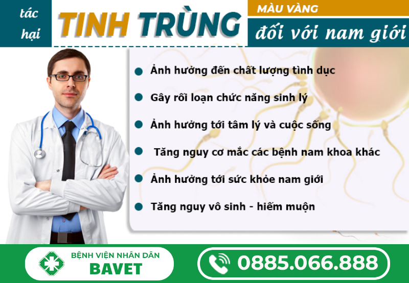 TINH TRÙNG MÀU VÀNG CÓ SAO KHÔNG?
