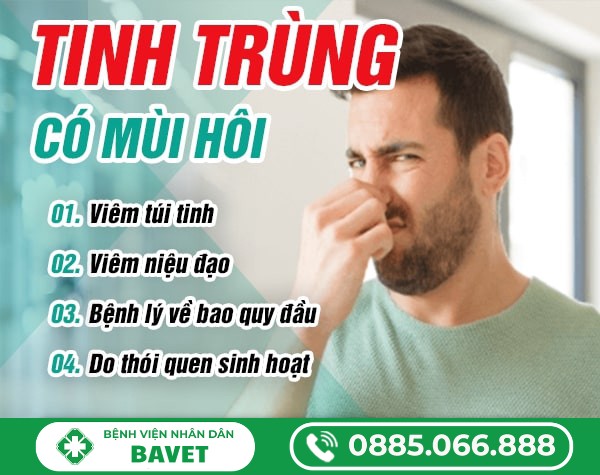 TINH TRÙNG CÓ MÙI HÔI