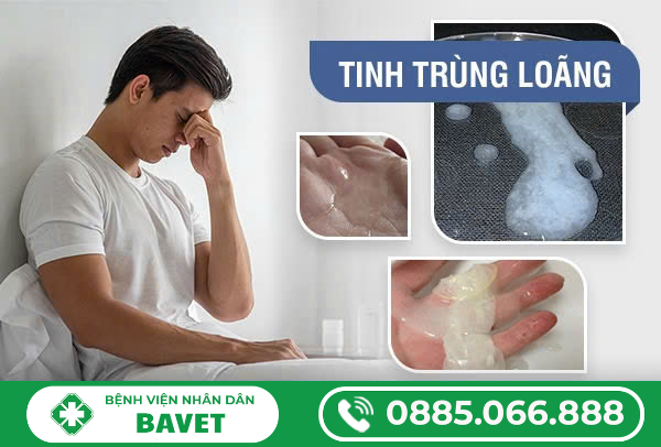 TINH TRÙNG LOÃNG LÀ GÌ? NGUYÊN NHÂN, DẤU HIỆU VÀ CÁCH ĐIỀU TRỊ HIỆU QUẢ