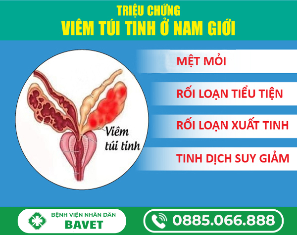 DẤU HIỆU VIÊM TÚI TINH NAM GIỚI KHÔNG NÊN CHỦ QUAN