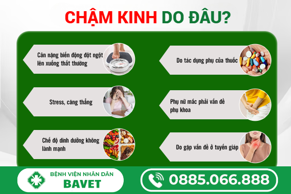CHẬM KINH LÀ GÌ? NGUYÊN NHÂN, DẤU HIỆU VÀ CÁCH XỬ LÝ HIỆU QUẢ